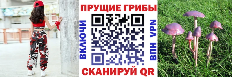 Псилоцибиновые грибы GOLDEN TEACHER  сайты даркнета клад  Мамоново 